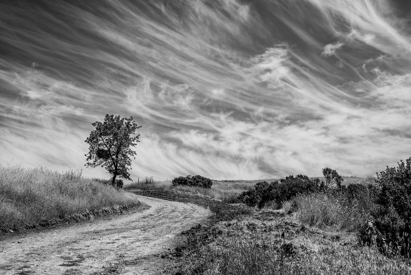 Cirrus Clouds on a Windy Day – Grayscale Photography